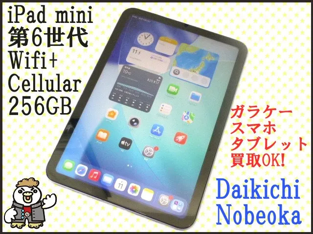 Apple iPadmini WiFi+Cellular 256GB