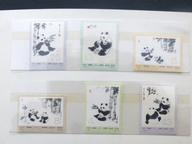 ブログをご覧いただきありがとうございます🙇‍♀️　延岡市浜町...